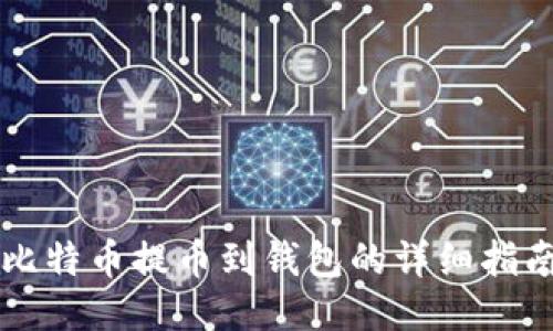 比特币提币到钱包的详细指南