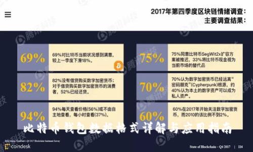比特币钱包数据格式详解与应用指南