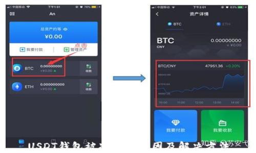
USDT钱包被冻结的原因及解决方法