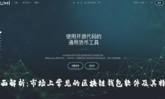 全面解析：市场上常见的
