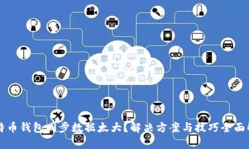 比特币钱包同步数据太大？解决方案与技巧全面解析