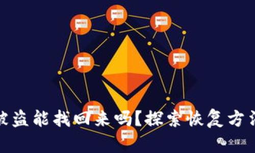 比特币钱包被盗能找回来吗？探索恢复方法与安全措施
