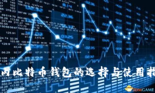 国内比特币钱包的选择与使用指南