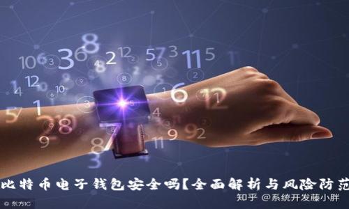 比特币电子钱包安全吗？全面解析与风险防范