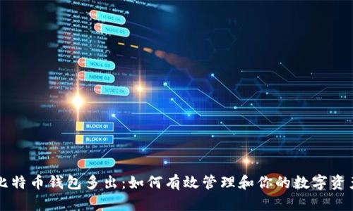 比特币钱包多出：如何有效管理和你的数字资产