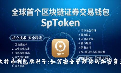 比特币钱包脑种子：如何安全管理你的加密资产