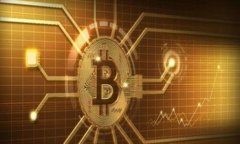 全面指南：选择最适合的