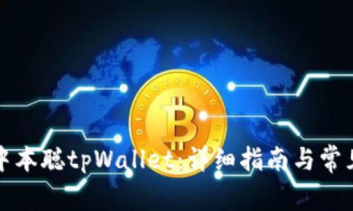 如何创建中本聪tpWallet：详细指南与常见问题解答