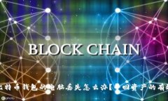 安装比特币钱包的电脑丢