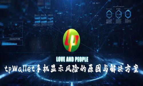 tpWallet手机显示风险的原因与解决方案