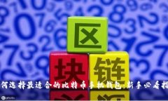 如何选择最适合的比特币