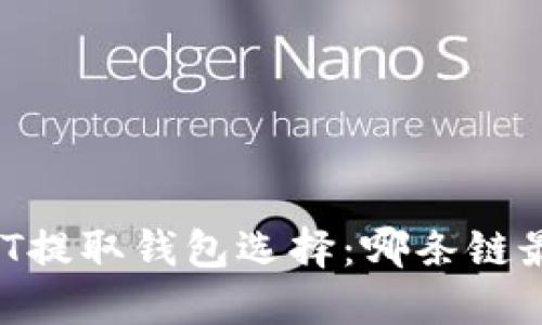 USDT提取钱包选择：哪条链最优？