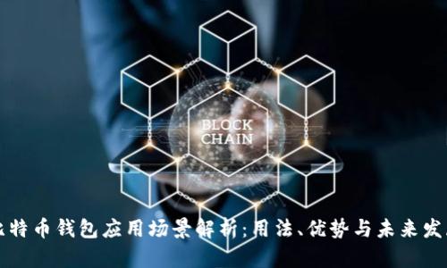 比特币钱包应用场景解析：用法、优势与未来发展