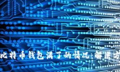 如何处理比特币钱包满了