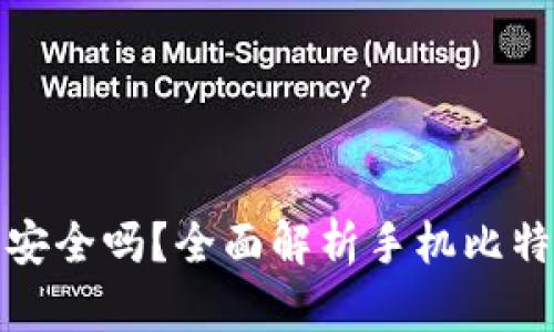 比特币钱包手机安全吗？全面解析手机比特币钱包的安全性