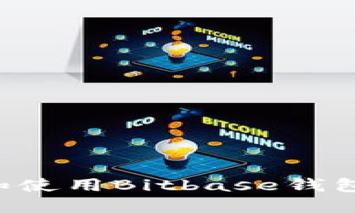 如何下载和使用Bitbase钱包：完整指南