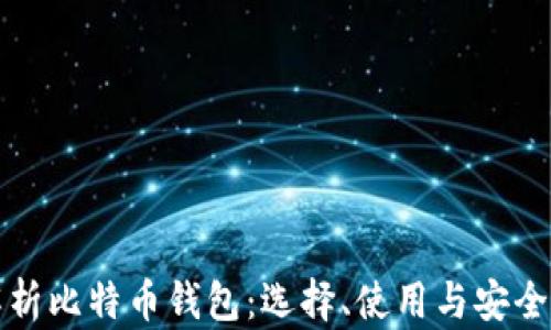 
全面解析比特币钱包：选择、使用与安全性指南