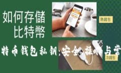 如何调节比特币钱包私钥