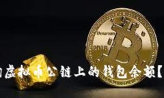 如何查询虚拟币公链上的