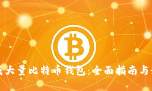 如何生成大量比特币钱包：全面指南与最佳实践