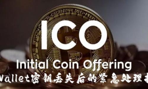   
tpWallet密钥丢失后的紧急处理指南