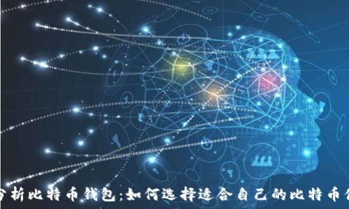   
全面分析比特币钱包：如何选择适合自己的比特币付钱包