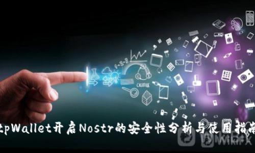 tpWallet开启Nostr的安全性分析与使用指南