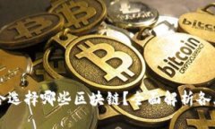 tpWallet适合选择哪些区块链