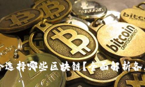 tpWallet适合选择哪些区块链？全面解析各大链的优缺点