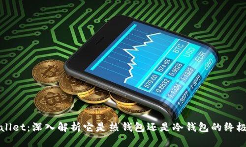 tpWallet：深入解析它是热钱包还是冷钱包的终极指南