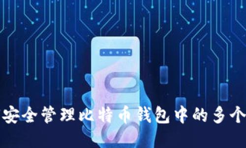 如何安全管理比特币钱包中的多个私钥