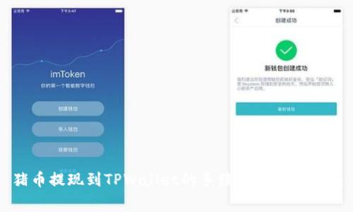 猪币提现到TPWallet的手续费详解及指南