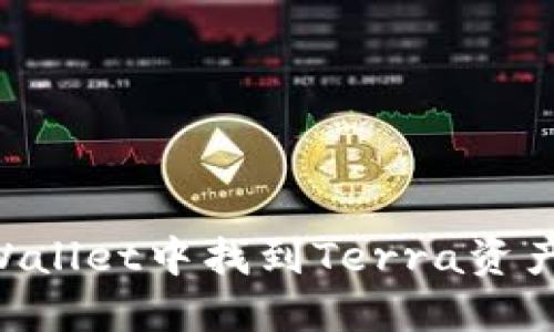 如何在TPWallet中找到Terra资产：详细指南