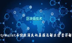 tpWallet币突然消失的原因及