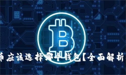 USDT币应该选择哪个钱包？全面解析及推荐