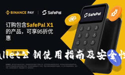 tpWallet公钥使用指南及安全性分析