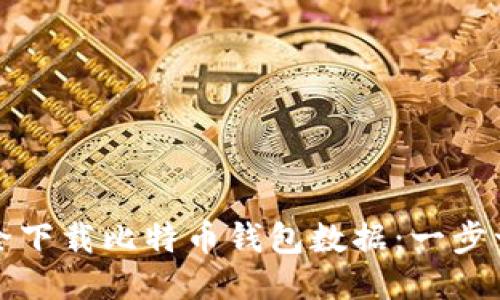 如何安全下载比特币钱包数据：一步一步指导