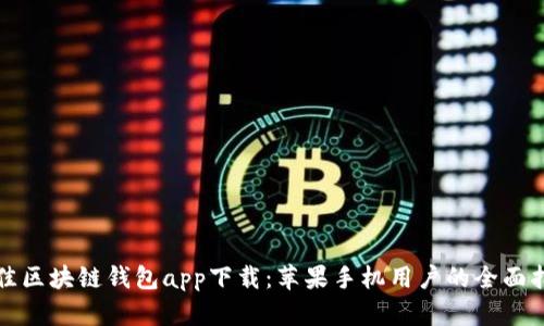 最佳区块链钱包app下载：苹果手机用户的全面指南