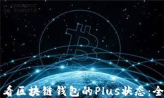 如何查看区块链钱包的P