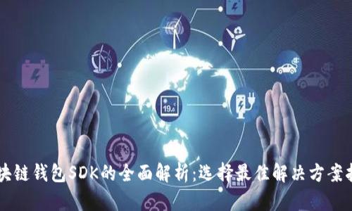 区块链钱包SDK的全面解析：选择最佳解决方案指南