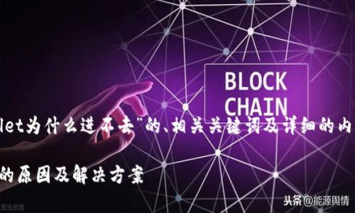 以下是关于“tpWallet为什么进不去”的、相关关键词及详细的内容提纲和问题分析。

tpWallet无法访问的原因及解决方案