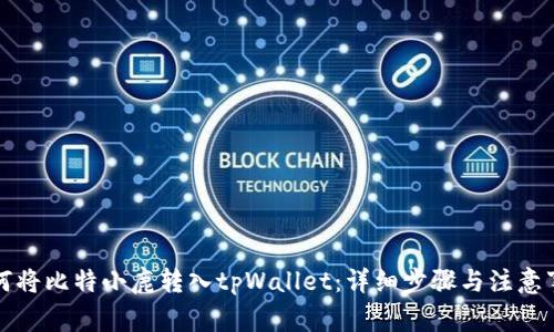 如何将比特小鹿转入tpWallet：详细步骤与注意事项