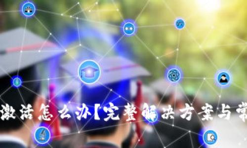 tpWallet未激活怎么办？完整解决方案与常见问题解析