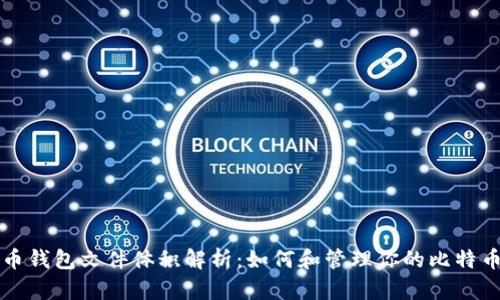 比特币钱包文件体积解析：如何和管理你的比特币钱包