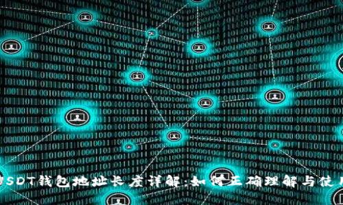 USDT钱包地址长度详解：如何正确理解与使用
