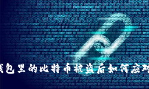 钱包里的比特币被盗后如何应对？