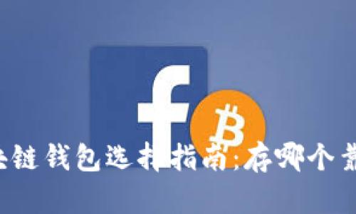 区块链钱包选择指南：存哪个靠谱？