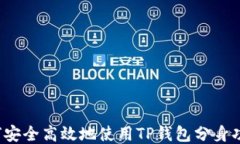 如何安全高效地使用TP钱包