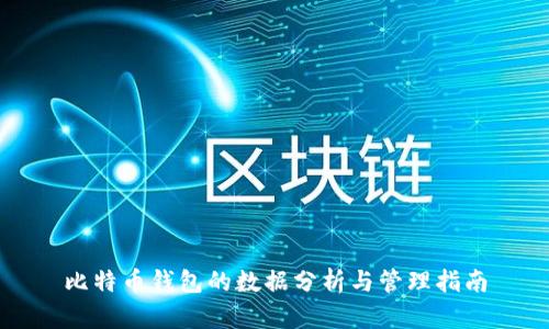 比特币钱包的数据分析与管理指南