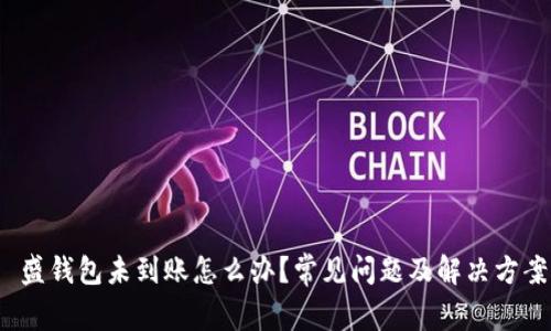  盛钱包未到账怎么办？常见问题及解决方案